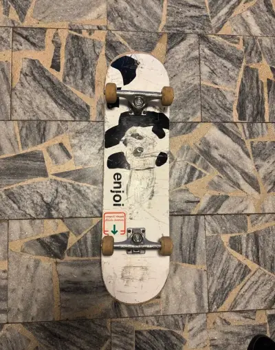 Profesionální skateboard
