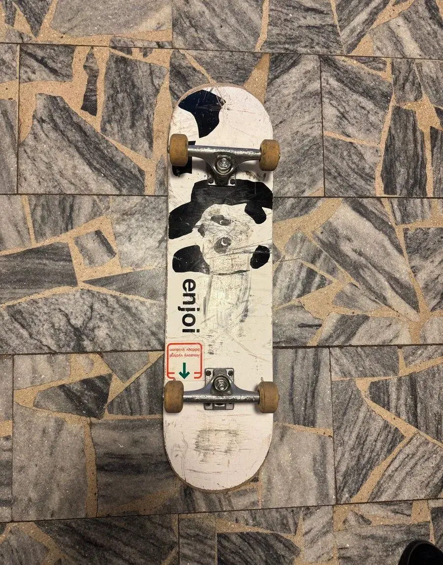 Profesionální skateboard