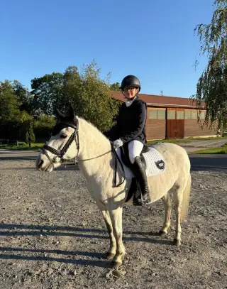 Pony klisna kat. A, nar. 2016