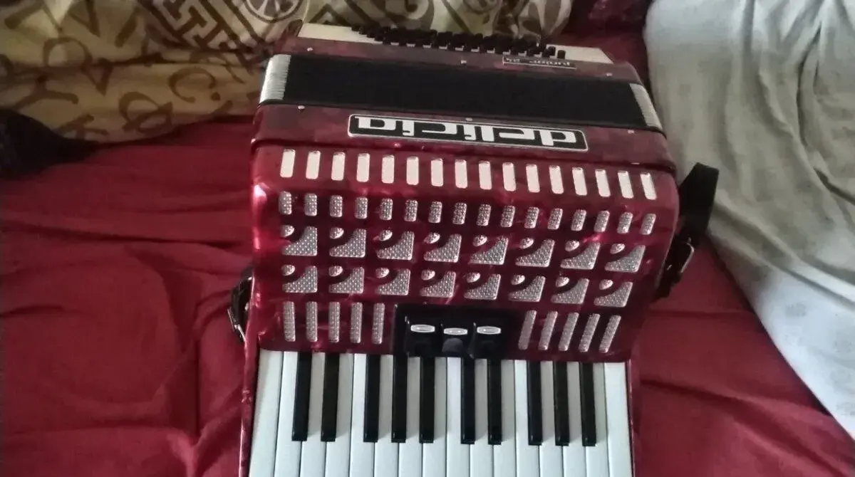 Akordeon delicie junior 24 60 basů