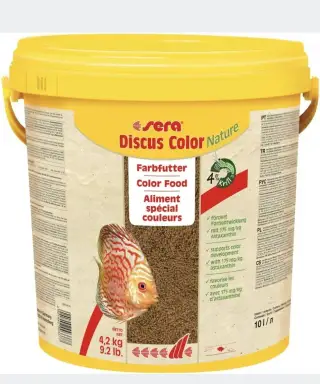 Discus color