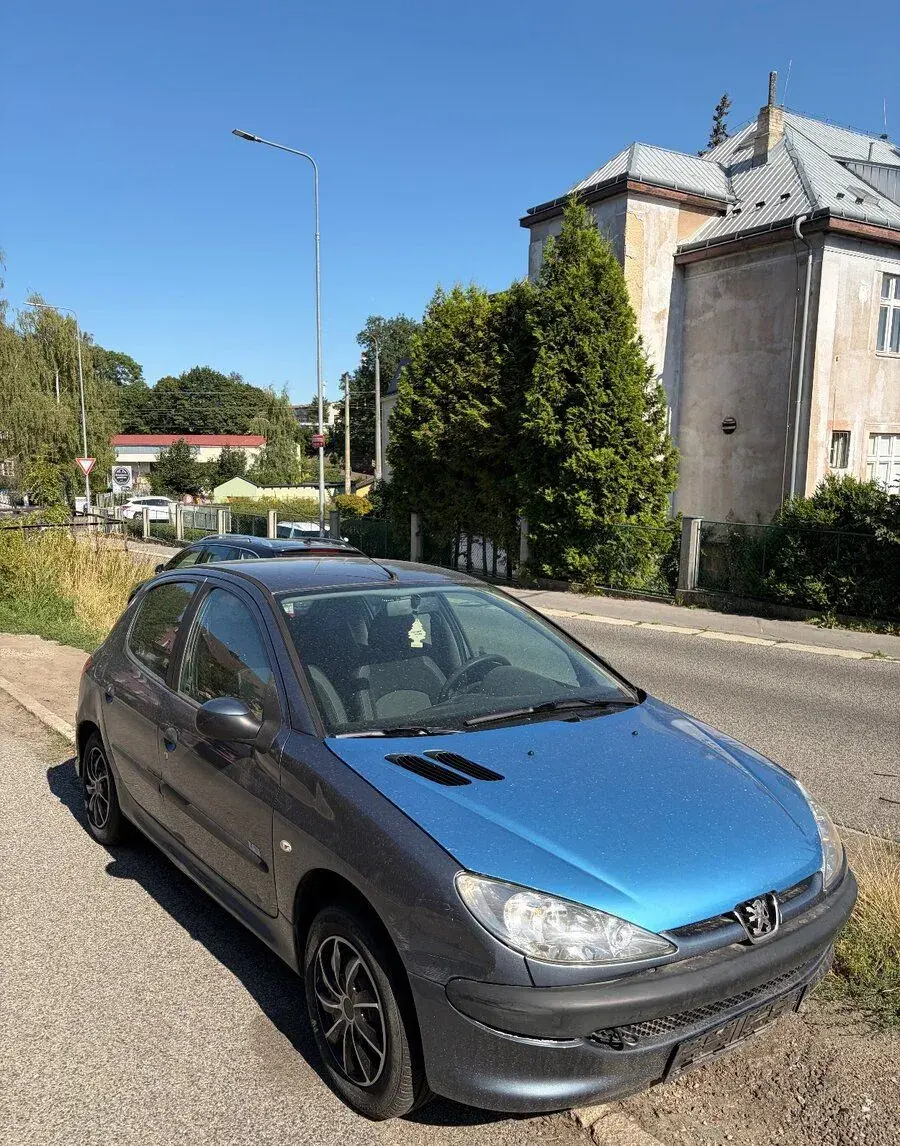 Peugeot 206 – 2006, 80 000 km