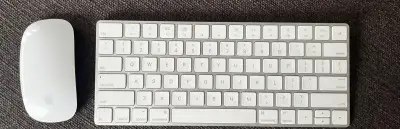 Apple Magic Mouse 2 + Magic Keyboard 2