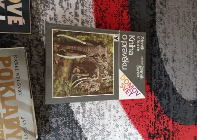 Kniha o pravěku