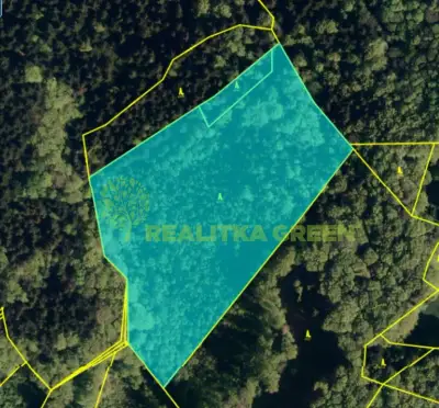 Prodej lesních pozemků k.ú. Pozděchov, CP 22 655 m2, po část