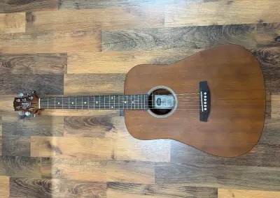 Kytara Ashton D20 MS
