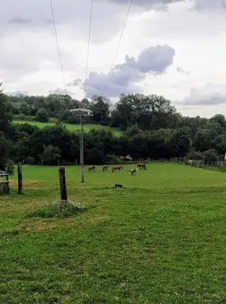 Ustájení koní