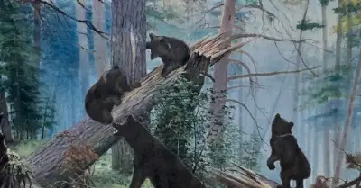 Obraz na plátně V.75×D.116cm, medvědí v lese