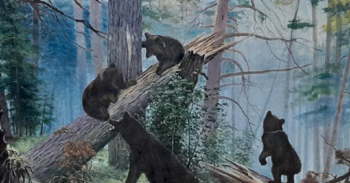 Obraz na plátně V.75×D.116cm, medvědí v lese