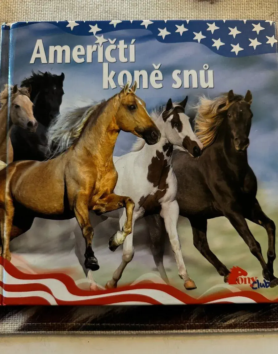 Američtí koně snů