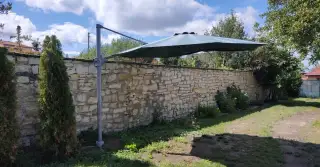 Velký slunečník Borneo (Mountfield)