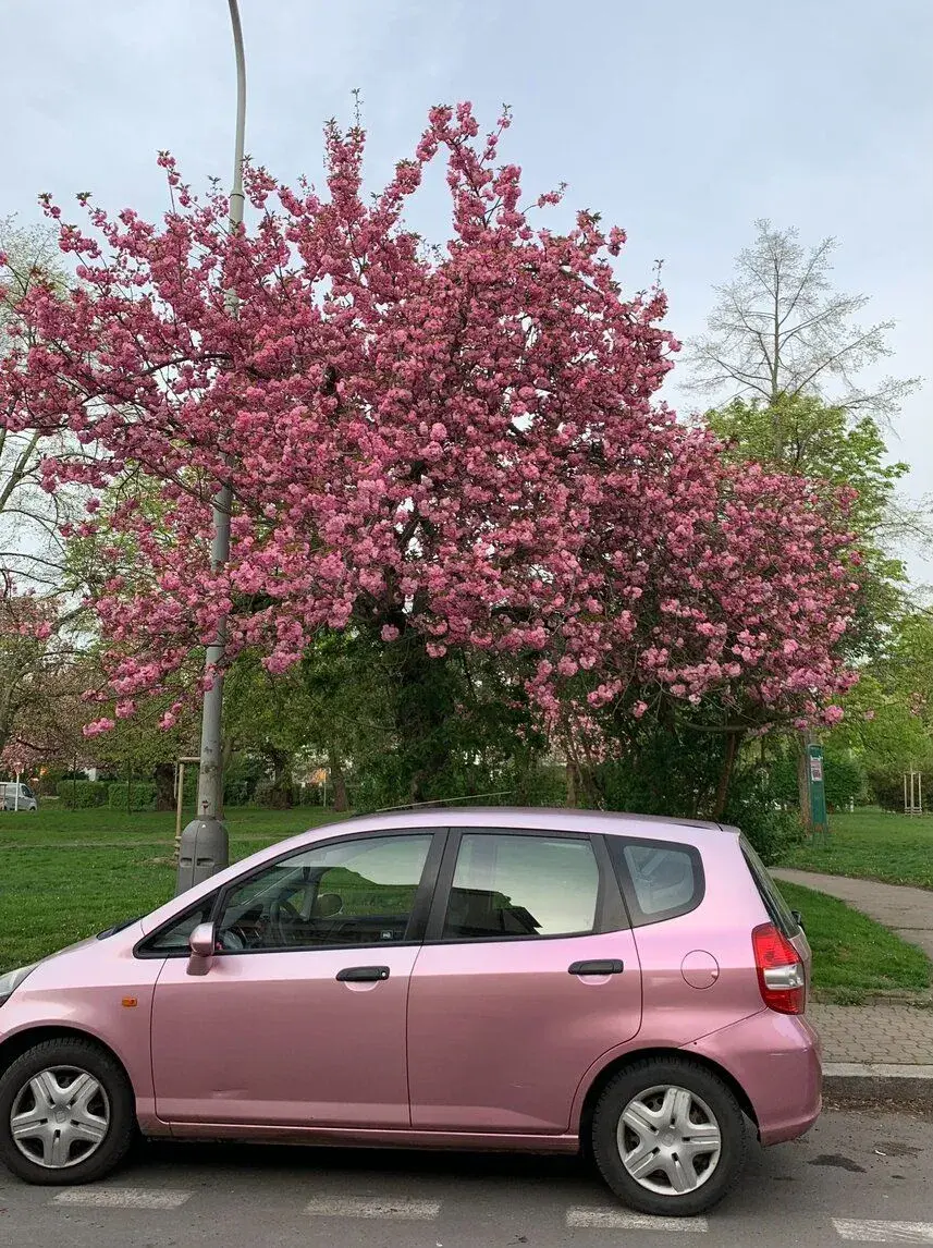 Honda JAZZ – 2002, 184 000 km
