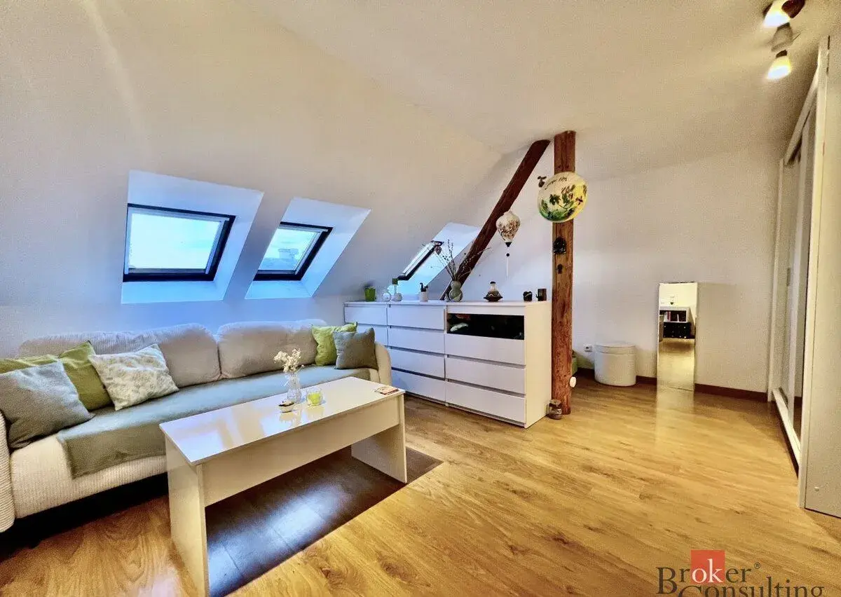 Pronájem, byty/1+1, 40 m2, Dobrovského 686/7, Kateřinky, 747