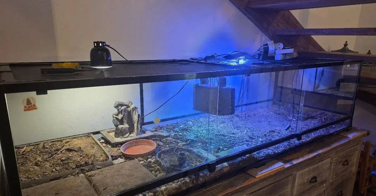 Terarium