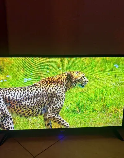 TV Vivax 32" 80 cm DVBT2