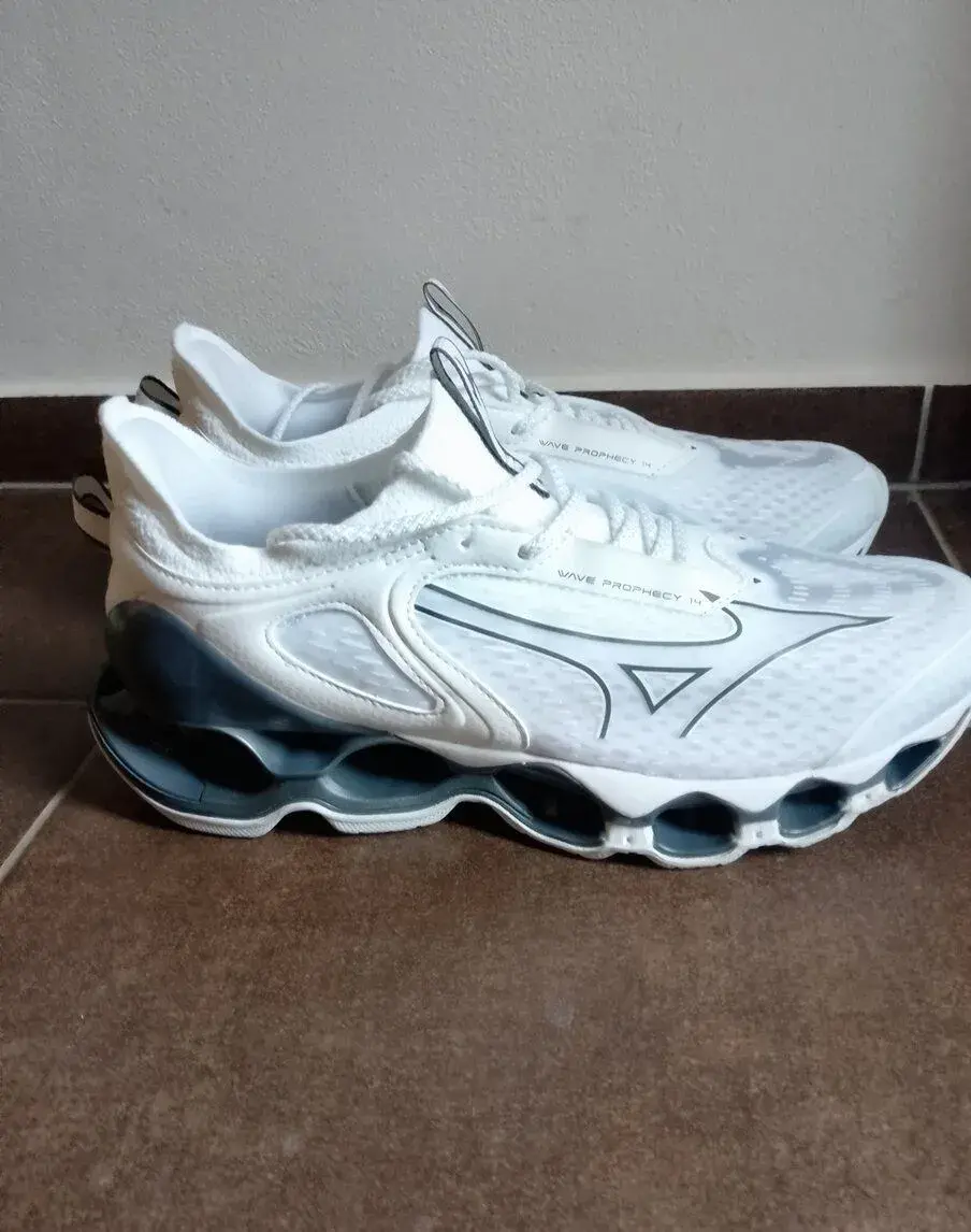 Běžecké boty Mizuno WAVE PROPHECY 14