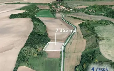 Pole 7 355 m², Podíl 10 % o výměře 736 m²
