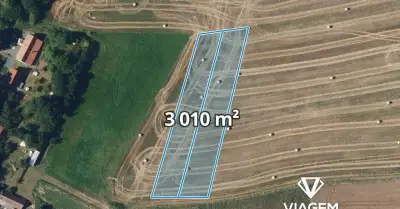 Pole 3 010 m², Podíl 17 % o výměře 502 m²