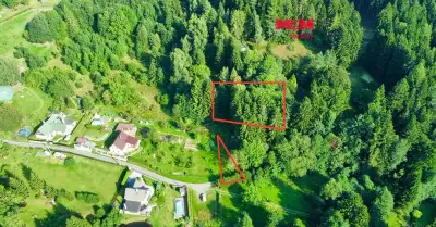 Prodej zahrady s projektem na zahradní domek, 594 m², Borová