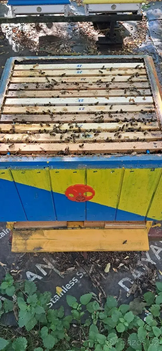 Včelstva připravená na zimování i s úly.
