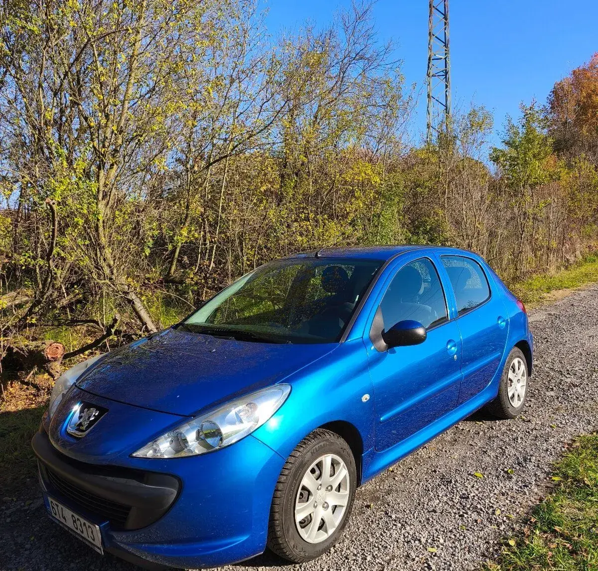 Peugeot 206 – 2010, 102 000 km