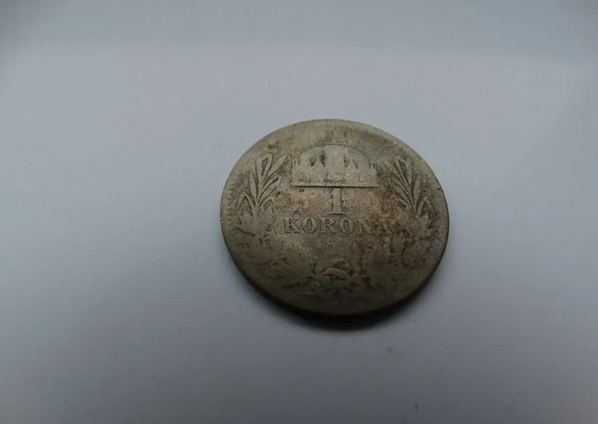 Stříbrná mince R-U 1 koruna 1894 - maďarská