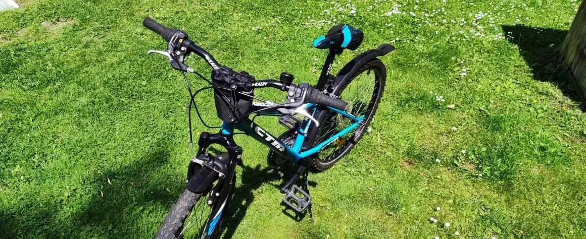 Kolo CTM Berry 2.0 modelový rok 2020 , velikost 24"