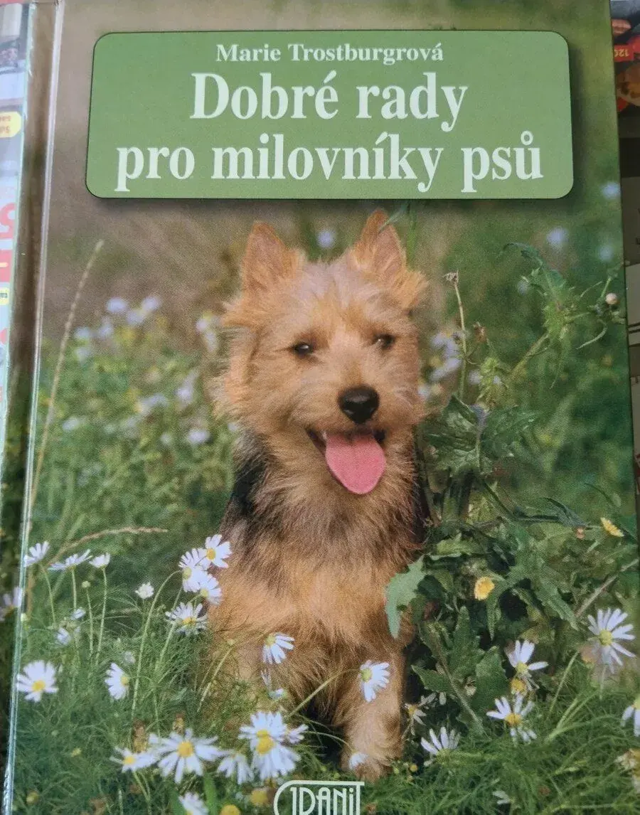 Rady o výchově/ výcviku a jiné rady pro majitelé psů