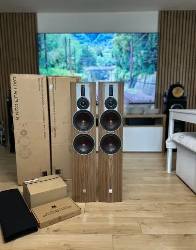 Dali Rubicon 6