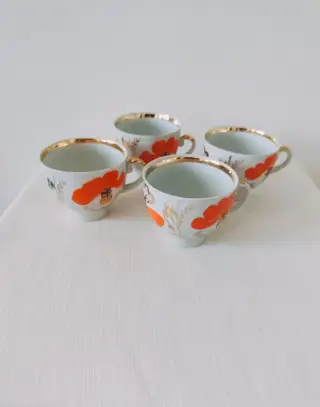 Sběratelský klenot: Vintage čajový servis „Maky“ (Baranovka,