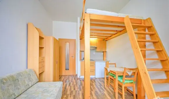 Pronájem byt 1+kk, 20 m²,Brno, Kunzova
