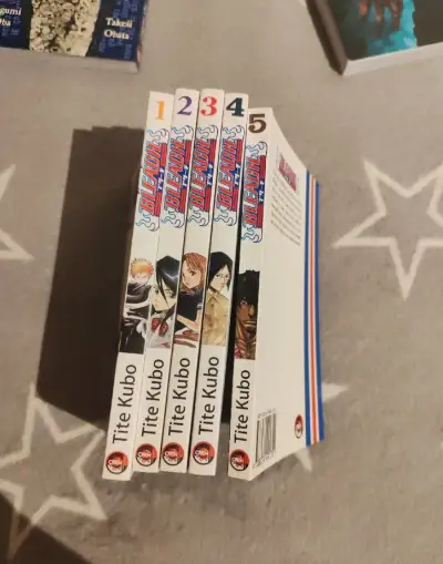 • Bleach – začátek série, sada 1 až 5 (manga)