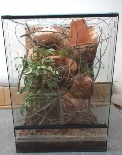 kompletní terária pro chameleóny