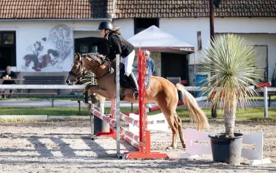 Perspektivní PONY kat.A