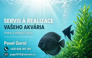 Servis údržba akvárií
