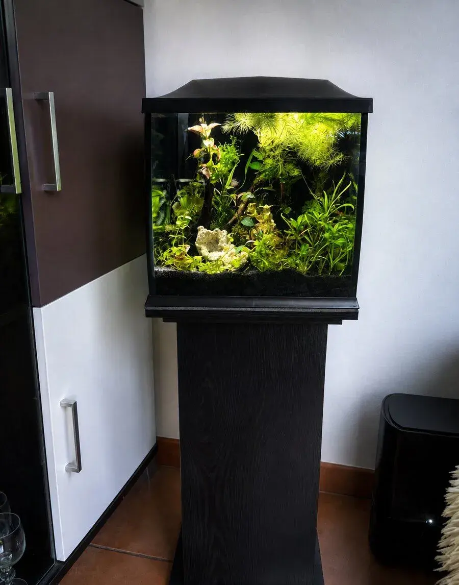 akvárium 30 × 30 cm desingne se stylovou skříňkou – komplet
