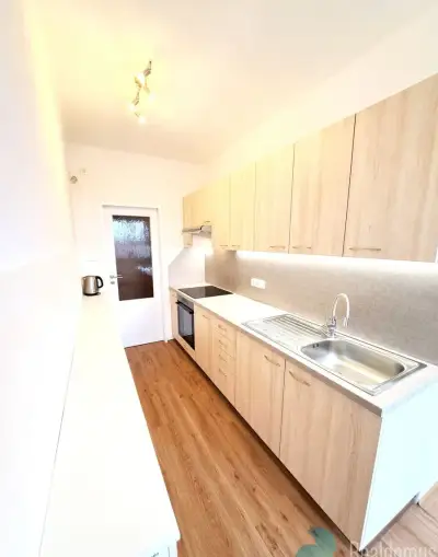 Pronájem, 1+1, balkon, rekonstrukce, ulice Kubatova, České B