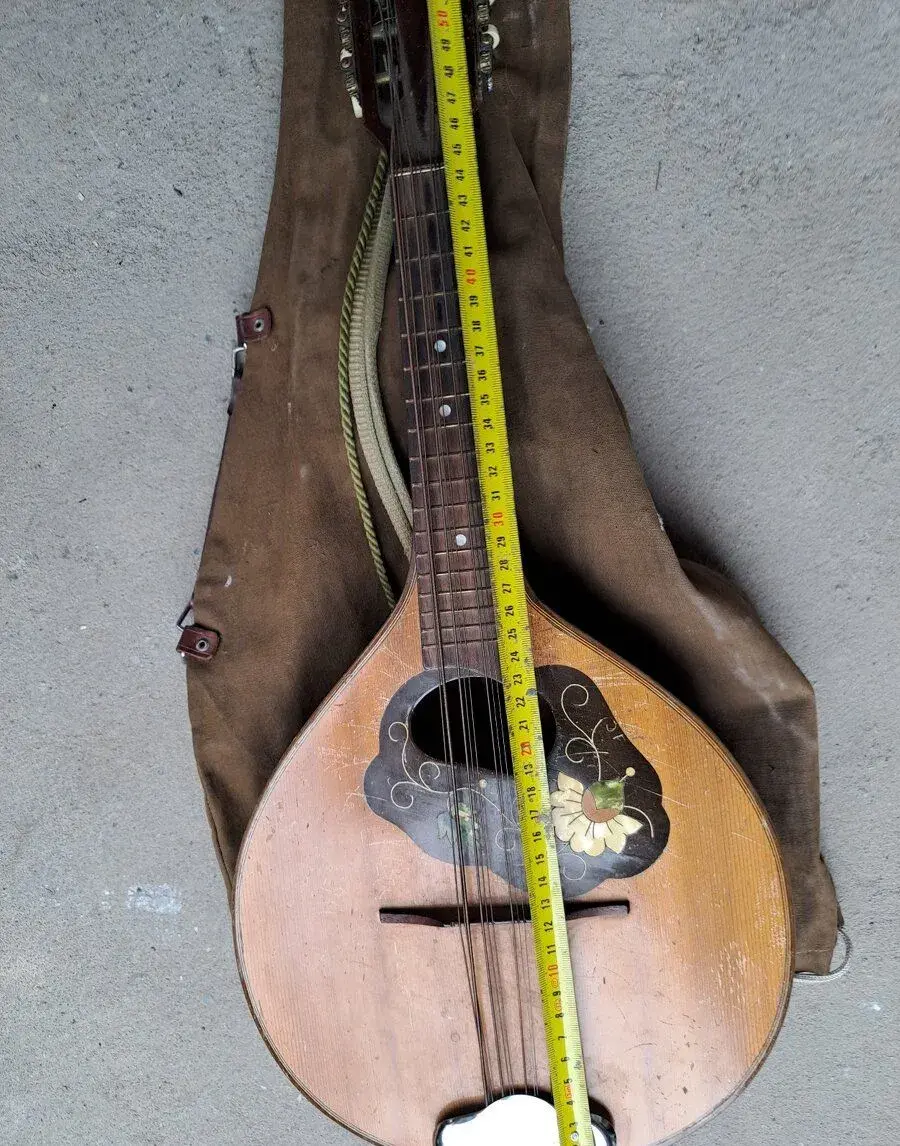 Mandolína 12 strun