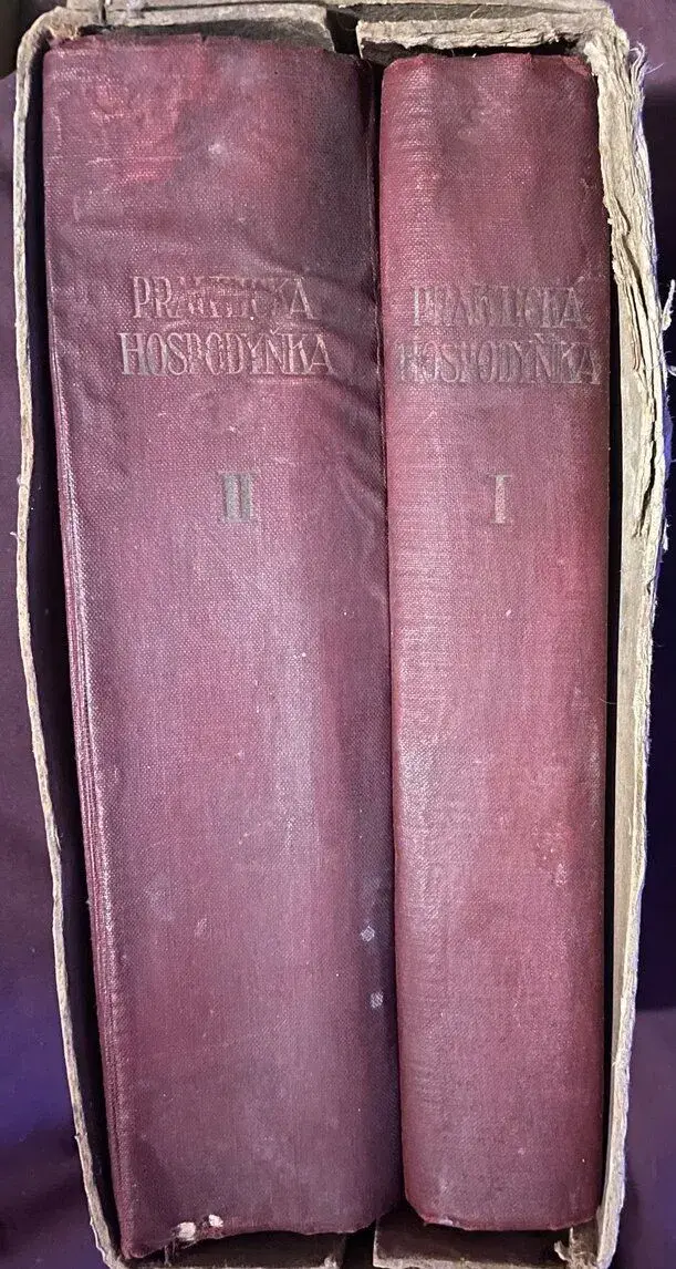 Praktická hospodyňka