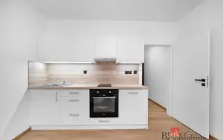 Pronájem, byty/1+kk, 23 m2, Bratislavská 215/31, Zábrdovice,
