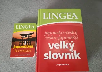 Velký slovník japonsko-český, česko-japonský