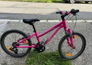 Specialized hotrock 20