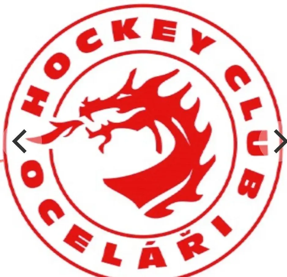 Vstupenky na hokej Třinec-M Boleslav