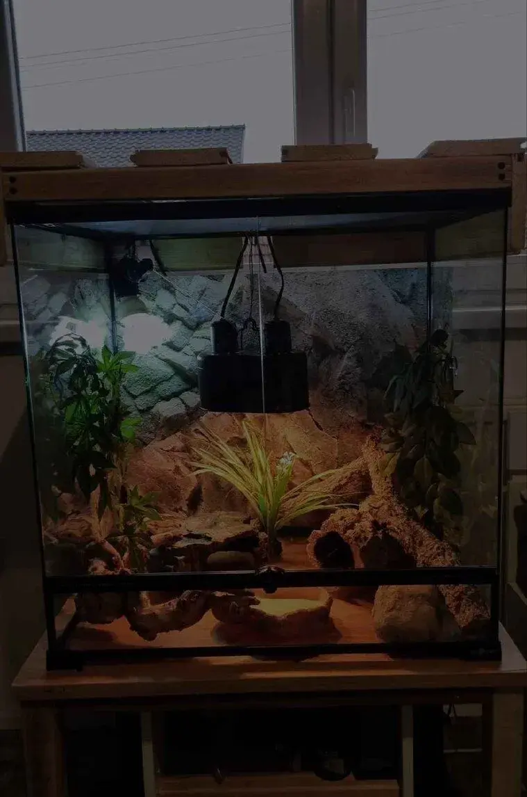 Terarium reptiplanet 65x45x65
