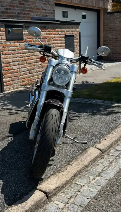 Harley - Davidson, Street Rod ( VR2 ) VRSCR ( dvoubarva ).