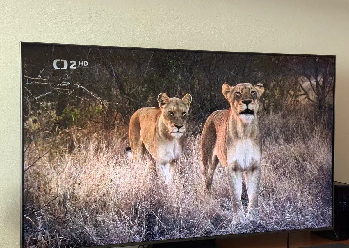 TV Samsung Neo QLED 4K 55” QE55QN80F