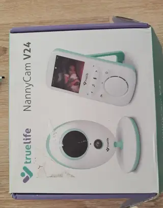Elektronická chůva