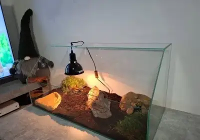 Želví stůl/želvárium různých velikostí