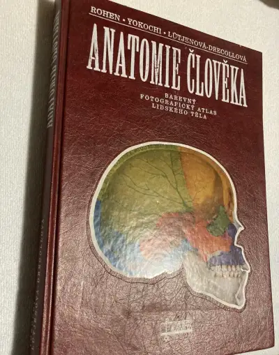 Anatomie člověka