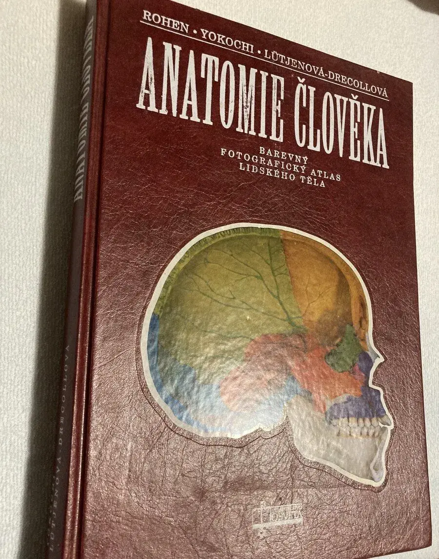 Anatomie člověka